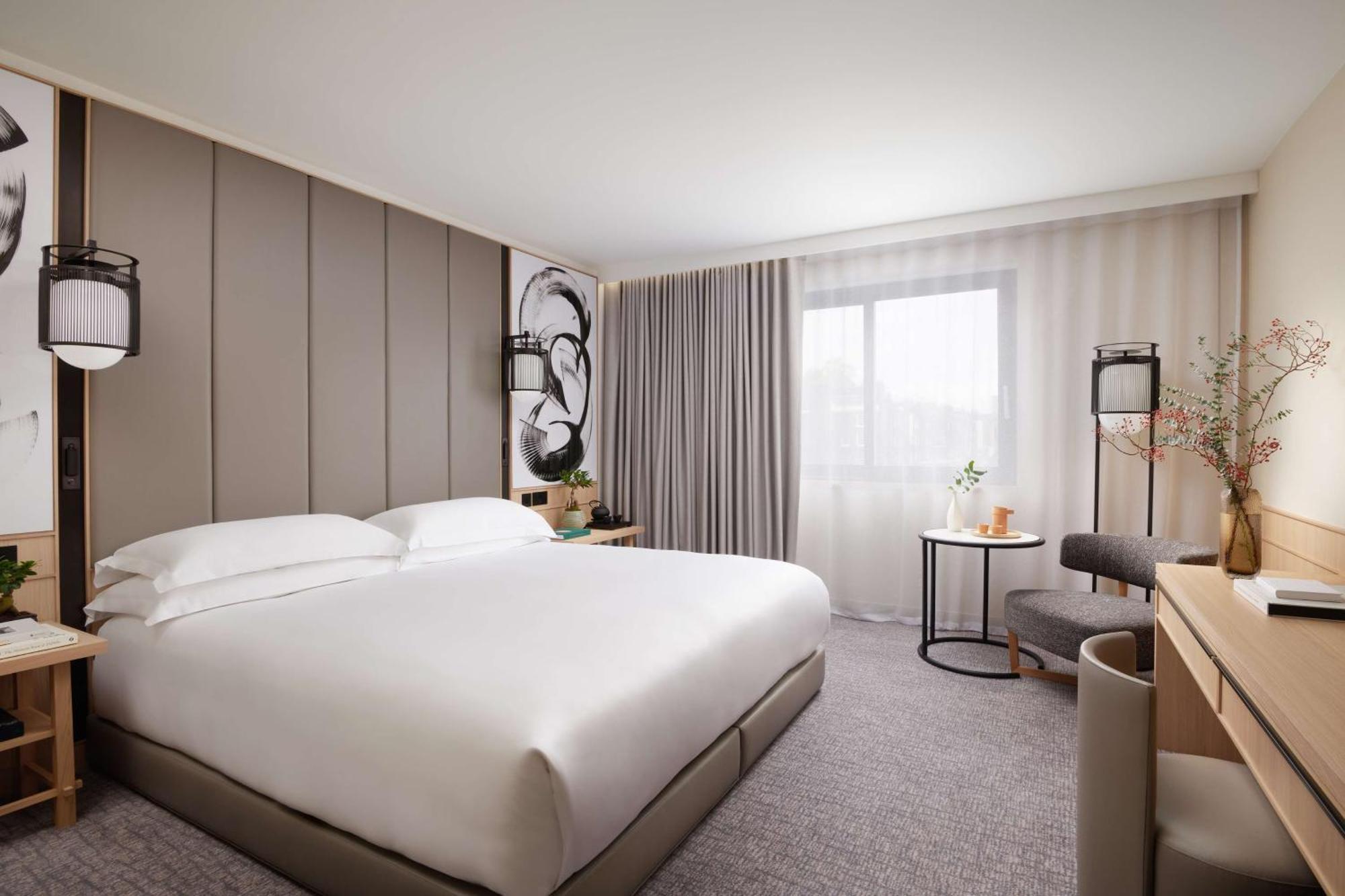 Superior Room,989415631:JPEG
